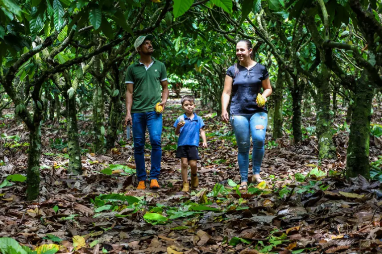 20250326163148-GC00065676-F00229844